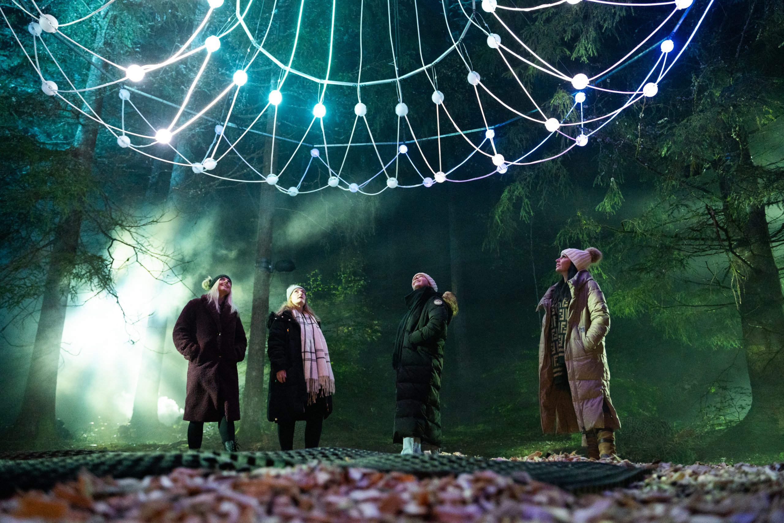 A group of 4 people look up at a light display in a forest